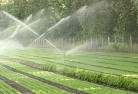 Ashby NSWlandscaping-irrigation-11.jpg; ?>