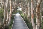 Ashby NSWnative-gardens-3.jpg; ?>